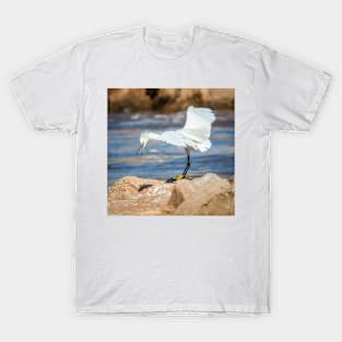 The Snowy Attitude T-Shirt